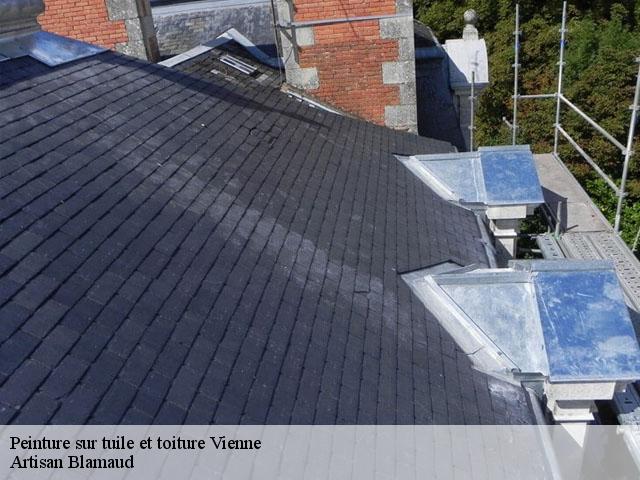 Peinture sur tuile et toiture Vienne 