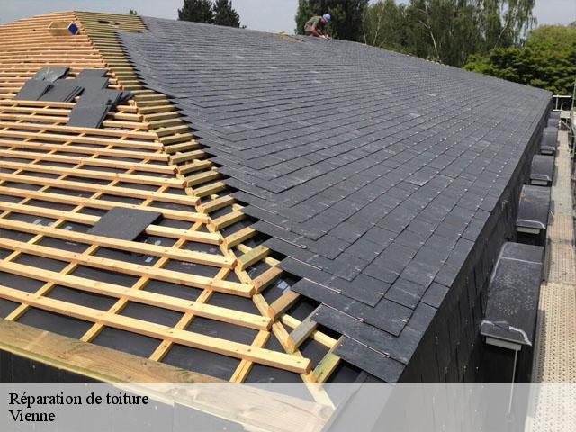 Réparation de toiture Vienne 