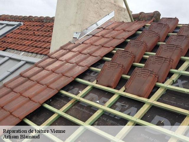 Réparation de toiture Vienne 