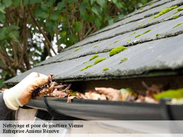 Nettoyage et pose de gouttière Vienne 