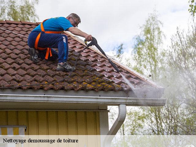 Nettoyage demoussage de toiture Vienne 