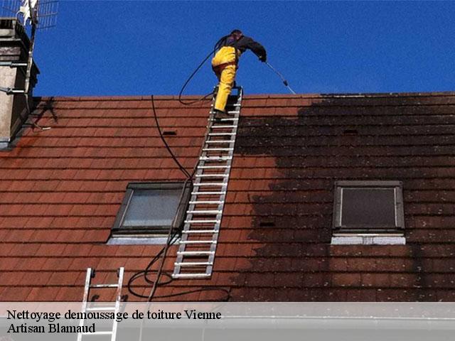 Nettoyage demoussage de toiture Vienne 