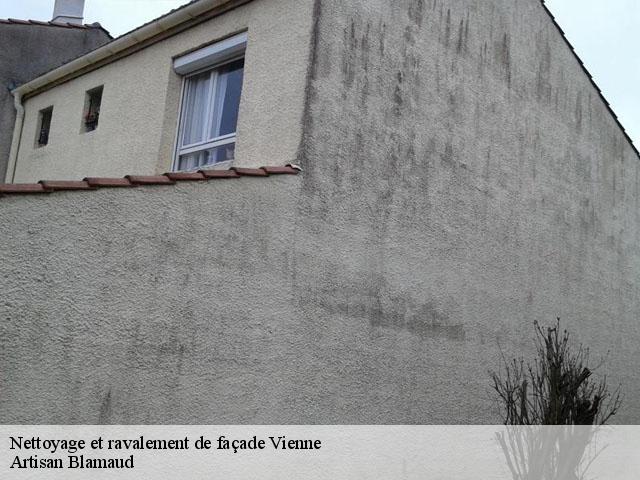 Nettoyage et ravalement de façade Vienne 
