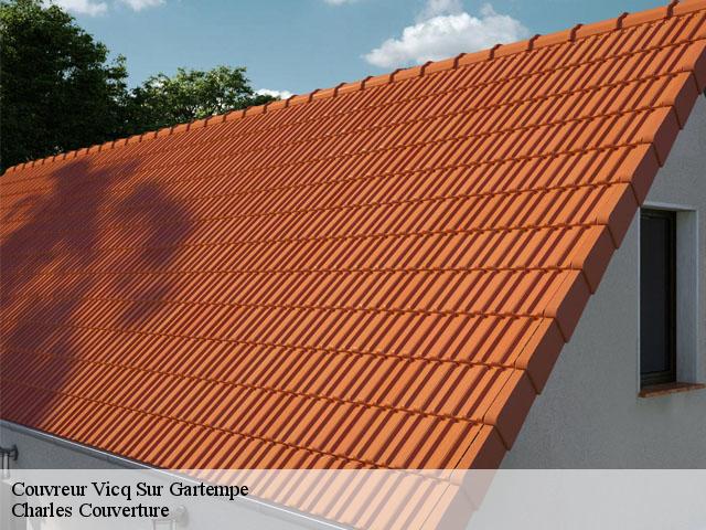 Couvreur  vicq-sur-gartempe-86260 Charles Couverture