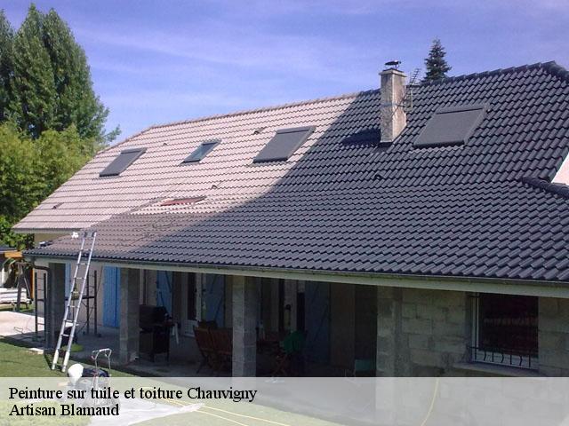 Peinture sur tuile et toiture  chauvigny-86300 Artisan Blamaud