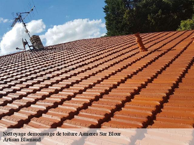 Nettoyage demoussage de toiture  asnieres-sur-blour-86430 Artisan Blamaud