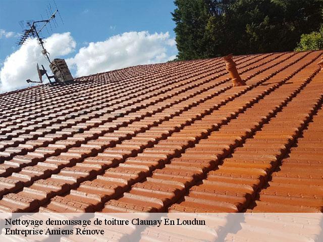 Nettoyage demoussage de toiture  claunay-en-loudun-86200 Entreprise Amiens Rénove