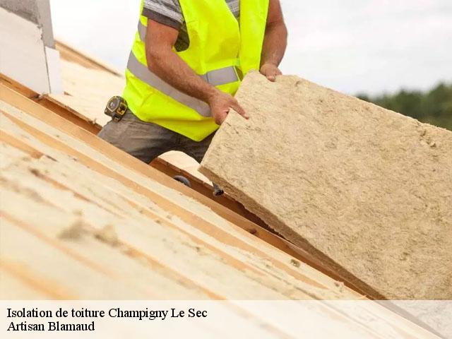 Isolation de toiture  champigny-le-sec-86170 Artisan Blamaud