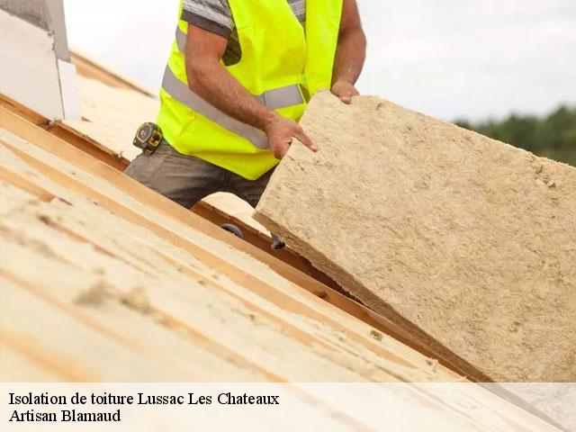 Isolation de toiture  lussac-les-chateaux-86320 Artisan Blamaud