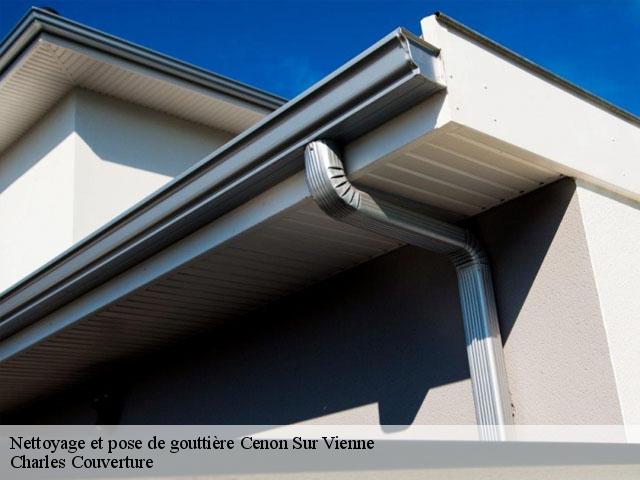 Nettoyage et pose de gouttière cenon-sur-vienne-86530 Charles Couverture
