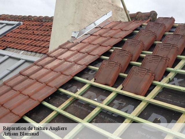 Réparation de toiture  86330