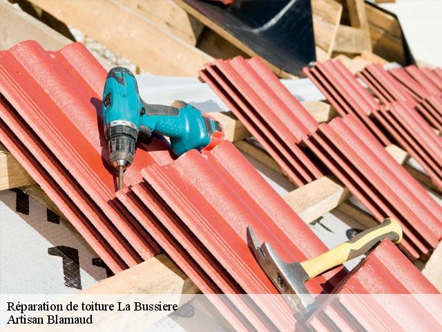 Réparation de toiture  la-bussiere-86310 Artisan Blamaud