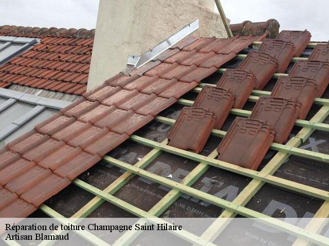 Réparation de toiture  86160