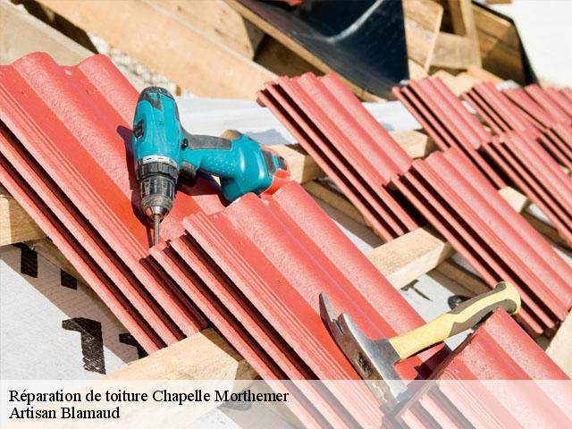 Réparation de toiture  chapelle-morthemer-86300 Artisan Blamaud