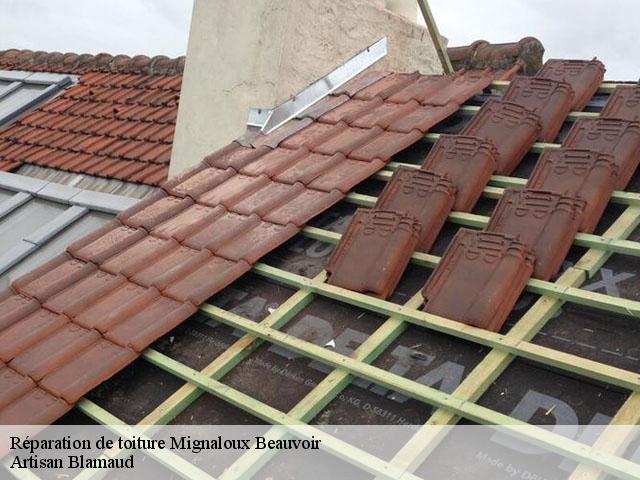 Réparation de toiture  86550