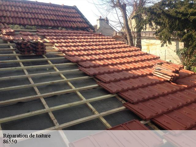 Réparation de toiture  86550