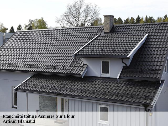Etanchéité toiture  asnieres-sur-blour-86430 Artisan Blamaud
