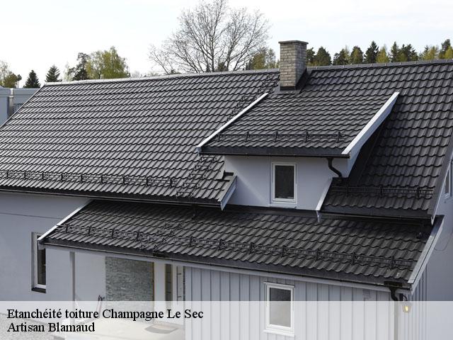 Etanchéité toiture  champagne-le-sec-86510 Artisan Blamaud