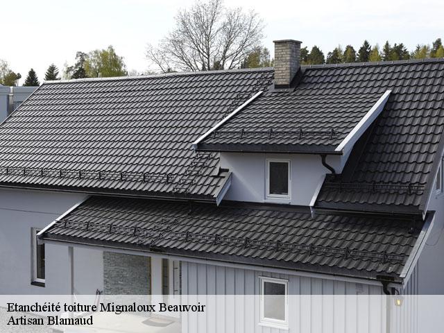 Etanchéité toiture  mignaloux-beauvoir-86550 Artisan Blamaud